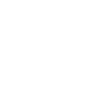 Rise Team Logo